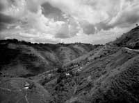 ruwenzori.jpg